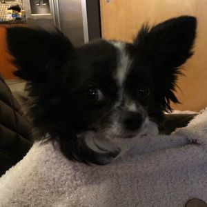 Meet your Posher, Tanya